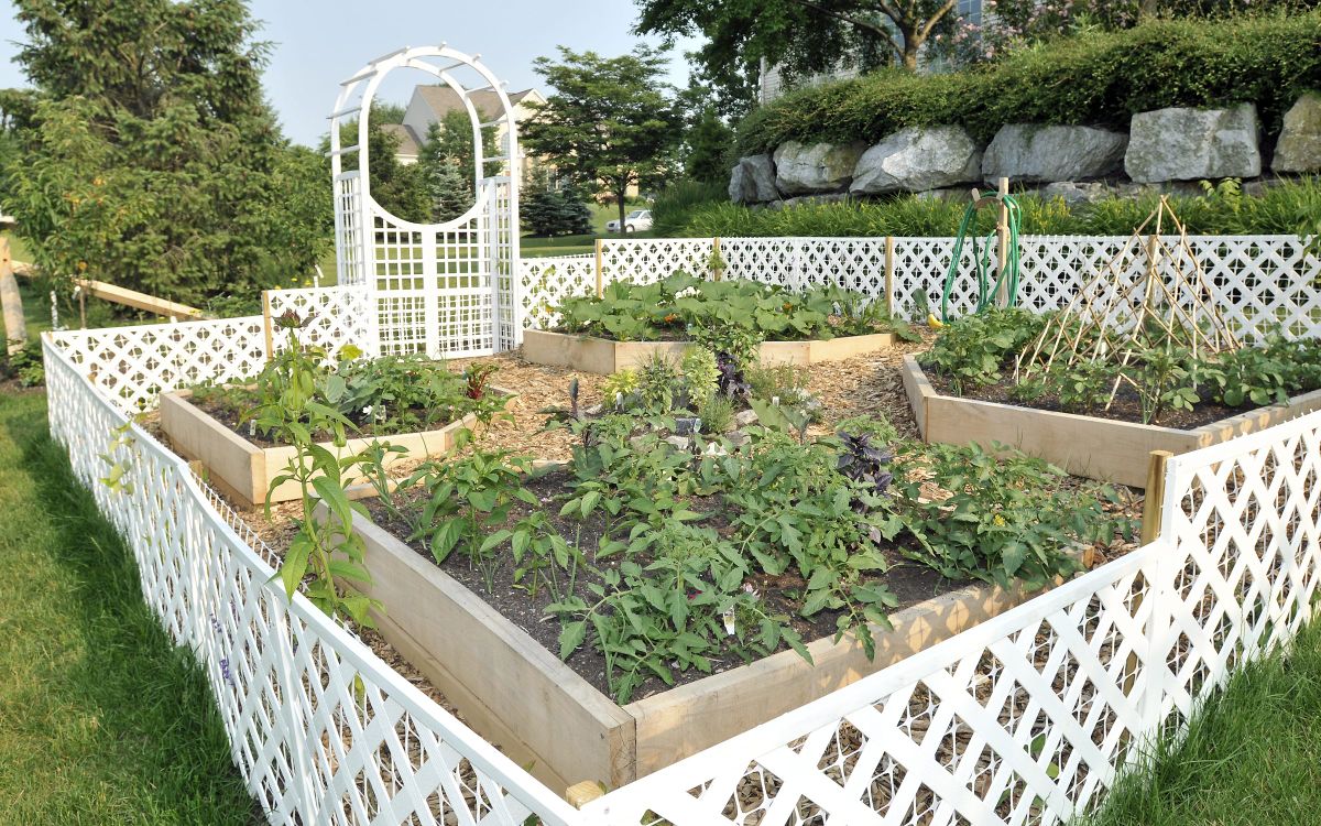 raisedbed.jpg